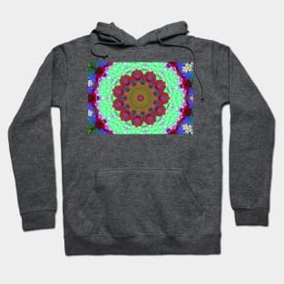 Mandalas 9 Hoodie